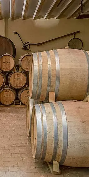 Barricas de crianza de los vinos Entre Tierras