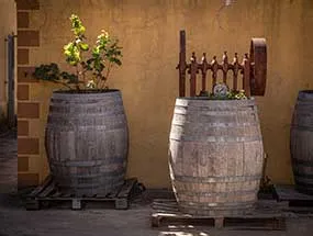 Barricas utilizadas en la crianza de los vinos Entre Tierras
